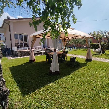Bed and Breakfast La Mimosa Chic Pietrasanta Exterior foto